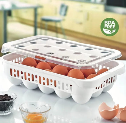 Grid Egg Tray With Lid
